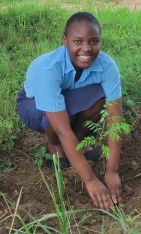 Planting picture 1