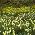 Holy Week and Easter 2025
